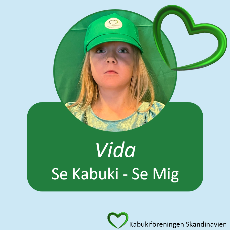 Vida